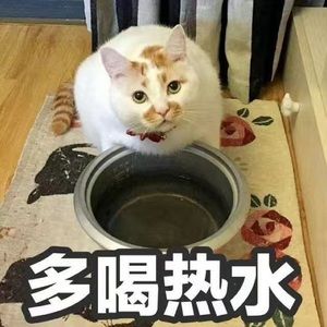 Meet your Posher, Zhengying